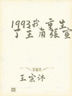 1993我重生了主角张宣