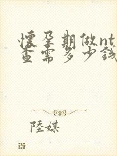 怀孕期做nt检查需多少钱