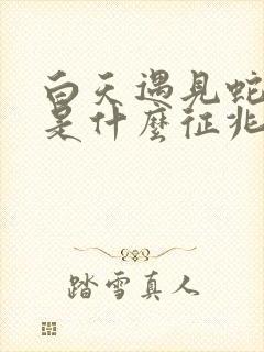 白天遇见蛇过路是什么征兆