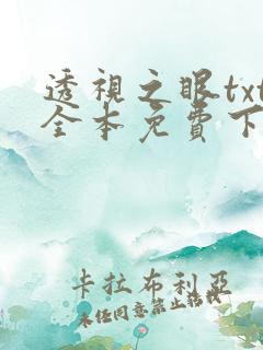 透视之眼txt全本免费下载