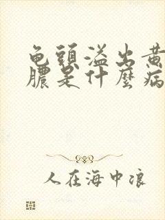 龟头溢出黄色的脓是什么病