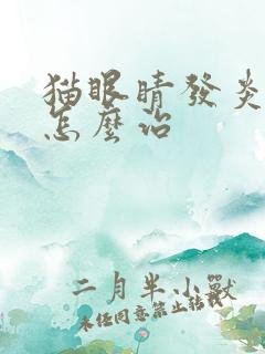 猫眼睛发炎流脓怎么治