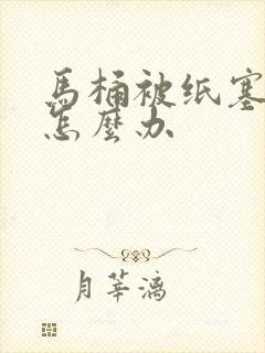 马桶被纸塞住了怎么办