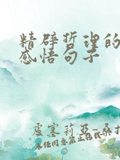 精辟哲理的人生感悟句子