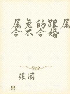 属兔的跟属蛇的合不合婚