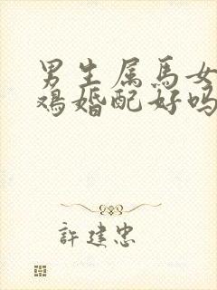 男生属马女生属鸡婚配好吗