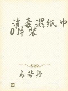 消毒湿纸巾 10片装