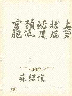 宫颈鳞状上皮细胞低度病变