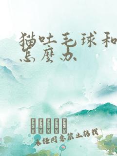 猫吐毛球和黄水怎么办