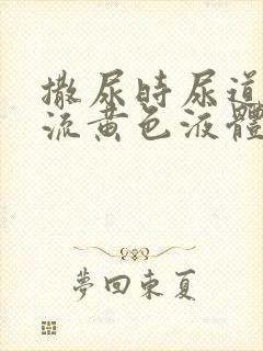 撒尿时尿道刺痛流黄色液体