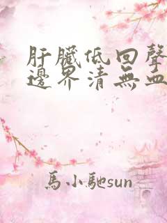 肝脏低回声结节边界清无血流信号