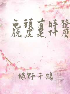 龟头有时发痒还脱皮是什么原因?