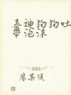 泰迪狗狗吐黄水带泡沫