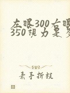 左眼300右眼350视力是多少