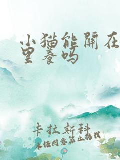 小猫能关在笼子里养吗