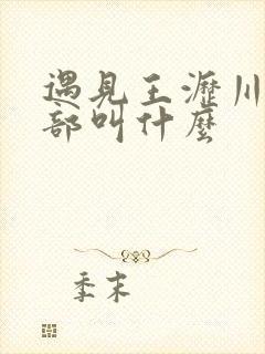 遇见王沥川第二部叫什么