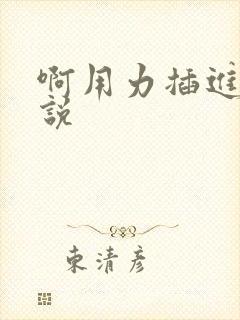 啊用力插进去小说