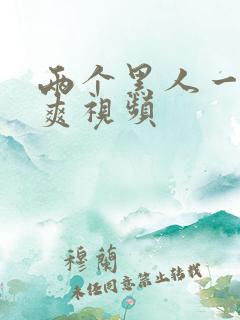 两个黑人一起操爽视频