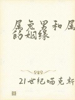 属兔男和属龙女的姻缘