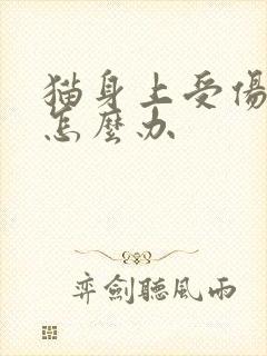 猫身上受伤化脓怎么办