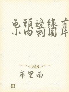 龟头边缘有很多小肉刺图片