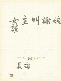 女主叫谢婉的小说