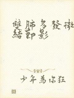 双肺多发微小小结节影