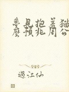 梦见抱着猫是什么预兆周公解梦