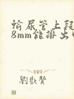 输尿管上段结石8mm能排出吗