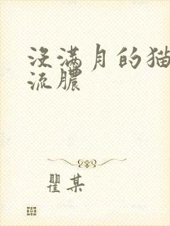 没满月的猫眼睛流脓