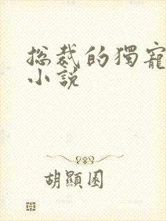 总裁的独宠甜妻小说