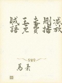 贼王未删减版粤语免费播放