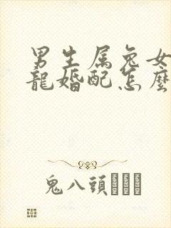 男生属兔女生属龙婚配怎么样