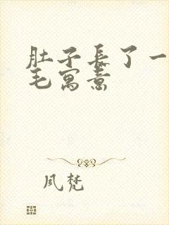 肚子长了一根白毛寓意