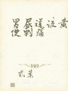 男尿道流黄水小便刺痛