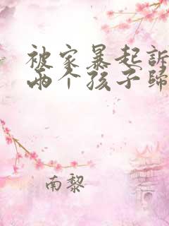 被家暴起诉离婚两个孩子归谁抚养