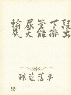 输尿管下段结石几天能排出