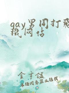 gay男同打飞机网站