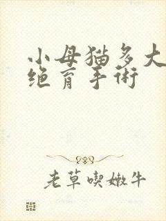 小母猫多大可以绝育手术