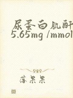 尿蛋白肌酐比值5.65mg /mmol