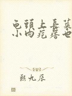 龟头上长菜花状小肉疙瘩也不痛不痒