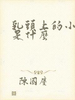 乳头上的小疙瘩是什么