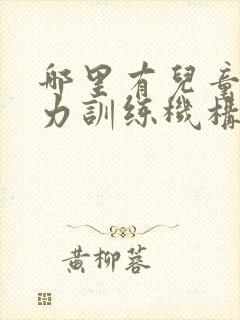 哪里有儿童专注力训练机构