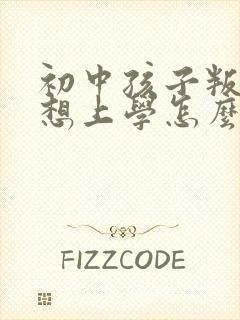 初中孩子叛逆不想上学怎么办