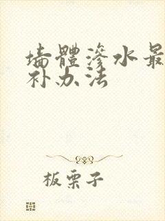 墙体渗水最好修补办法