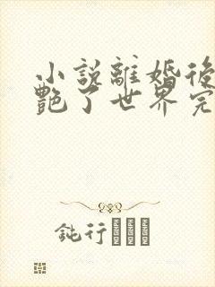 小说离婚后她惊艳了世界完结