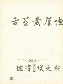 舌苔黄厚但不腻