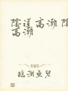 阴道高潮 阴蒂高潮