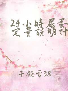 24小时尿蛋白定量说明什么