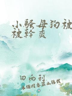 小骚母狗被调教被干爽